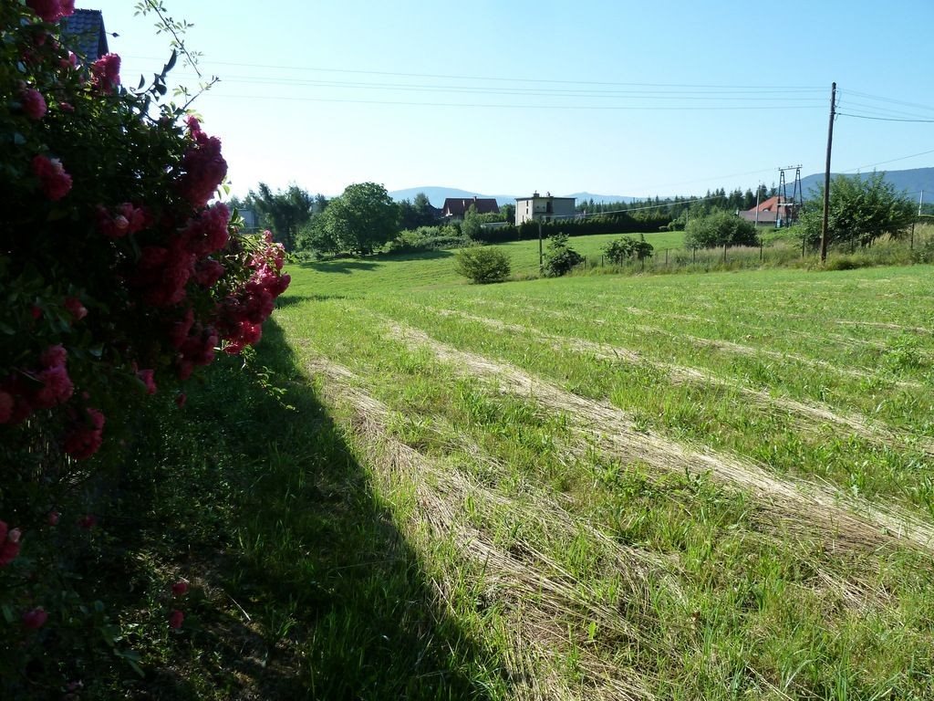 Działka budowlana na sprzedaż Pisarzowice, Spacerowa  2 060m2 Foto 3