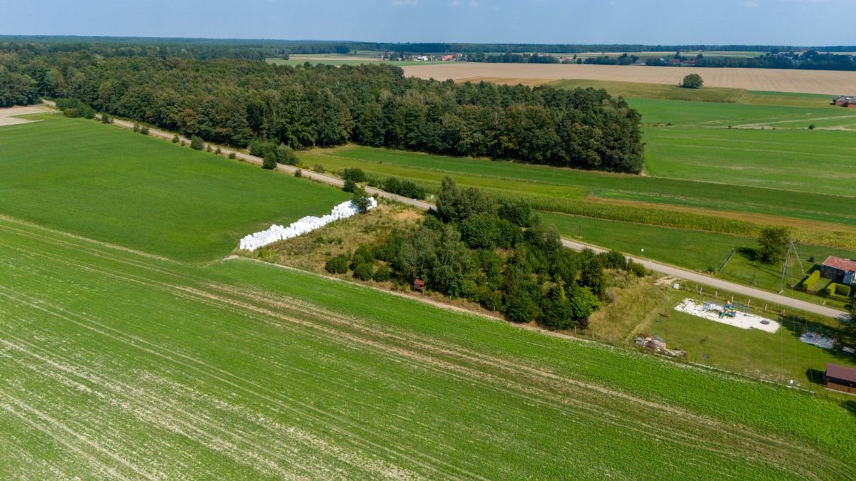 Działka budowlana na sprzedaż Gosławice, Sierakowska  1 242m2 Foto 9