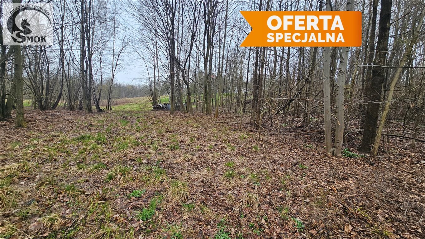 Duża działka 50 000 m² z potencjałem inwestycyjnym polecam! Mogilany  5 000m2 Foto 1
