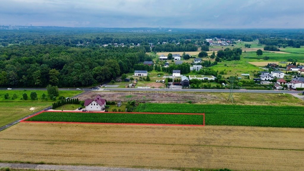 Działka budowlana na sprzedaż Paniówki, Skotnicka  2 500m2 Foto 6