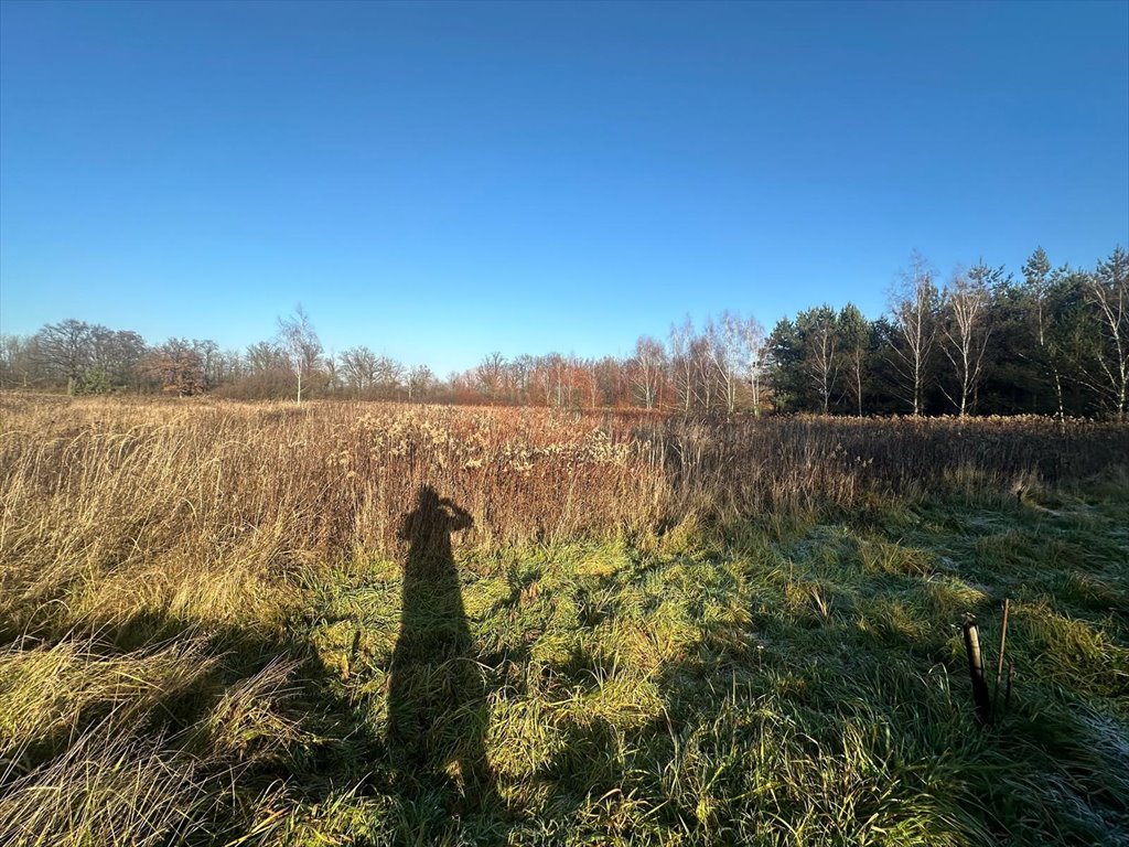 Działka budowlana na sprzedaż Żurawiniec, Kasztanowa  1 190m2 Foto 6