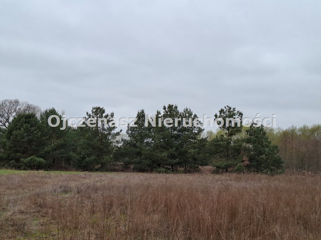 Na sprzedaż działka 15 000 m² w Trzeciewcu z prądem i atrakcyjną lokalizacją Trzeciewiec  15 000m2 Foto 1