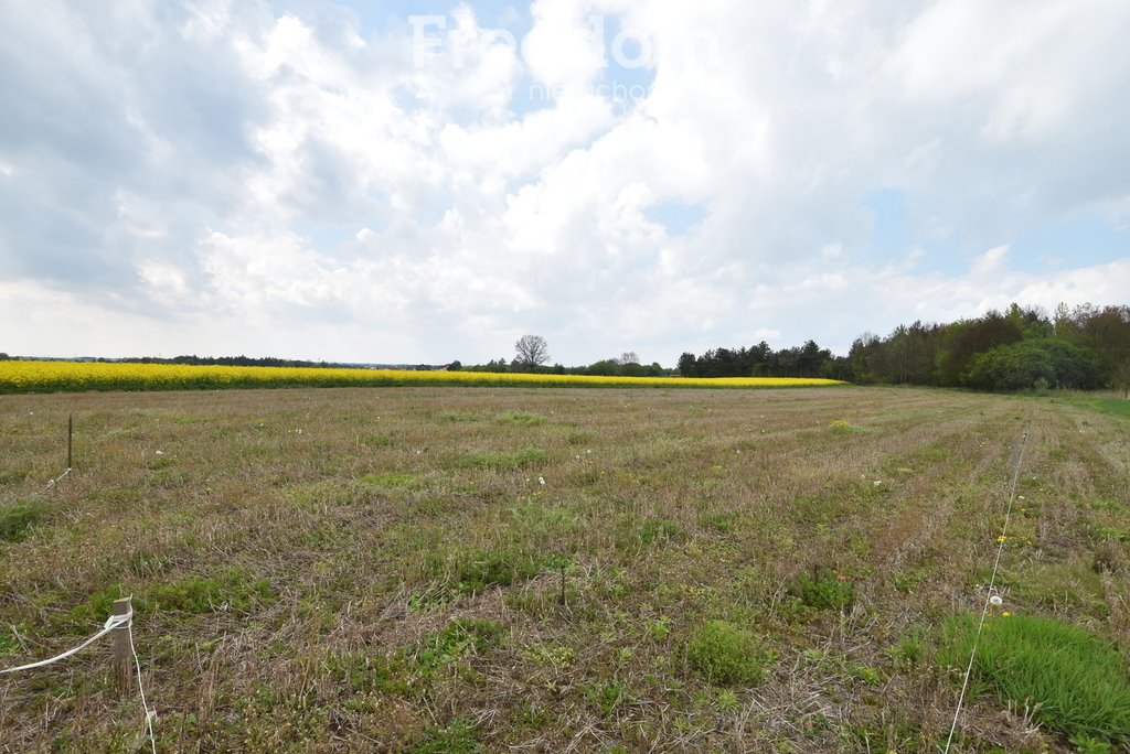 Działka inna na sprzedaż Wólka Bałtowska-Kolonia  930m2 Foto 7