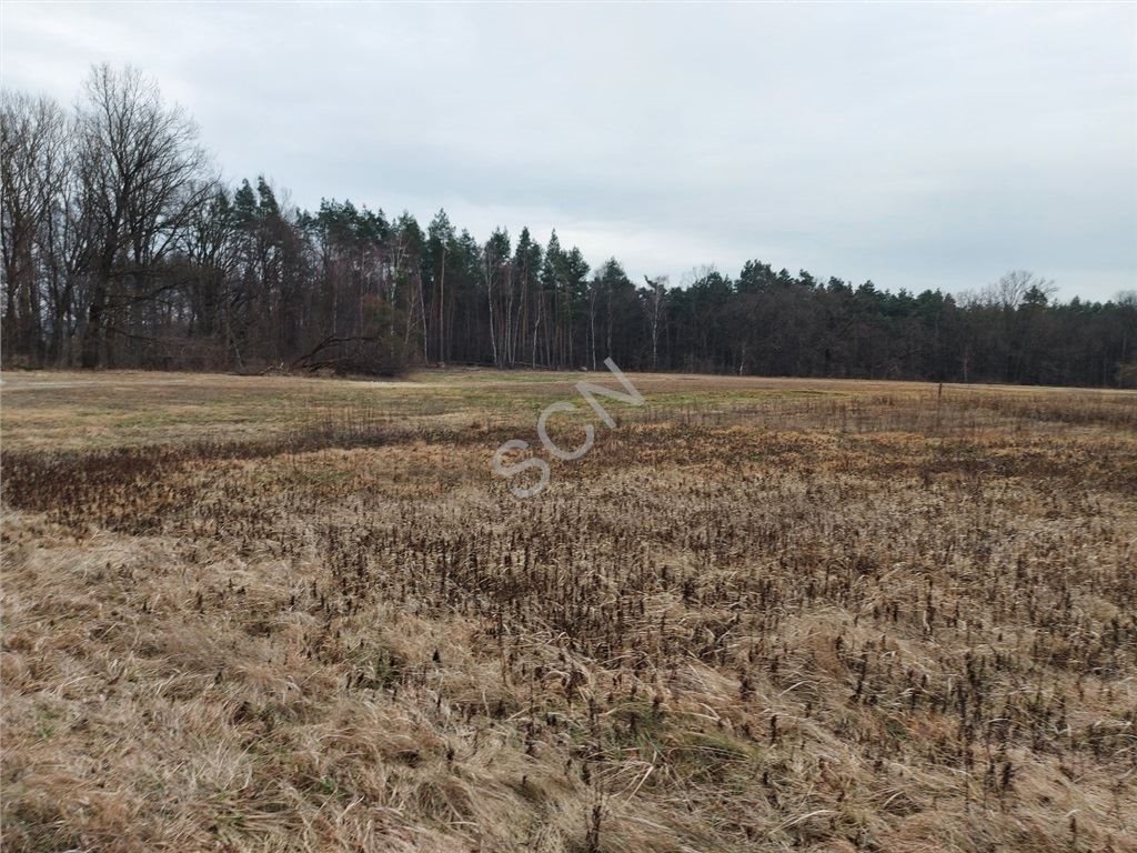 Działka budowlana na sprzedaż Emów  13 200m2 Foto 2