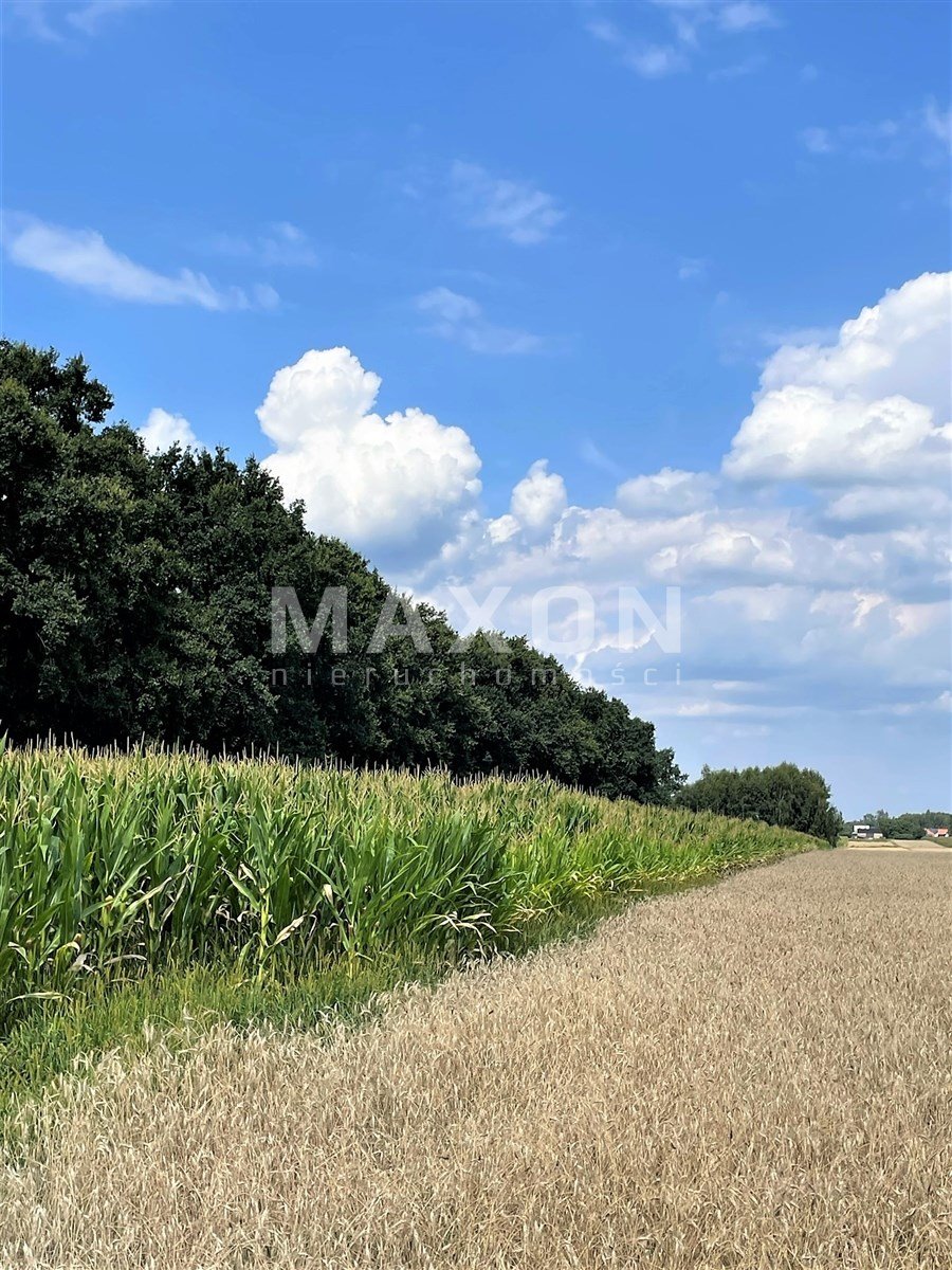 Działka inna na sprzedaż Pasikonie  9 100m2 Foto 8