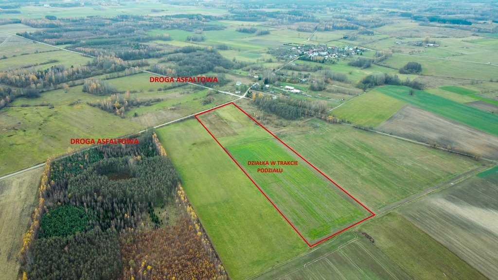 Działka budowlana na sprzedaż Ostrówki  3 200m2 Foto 4