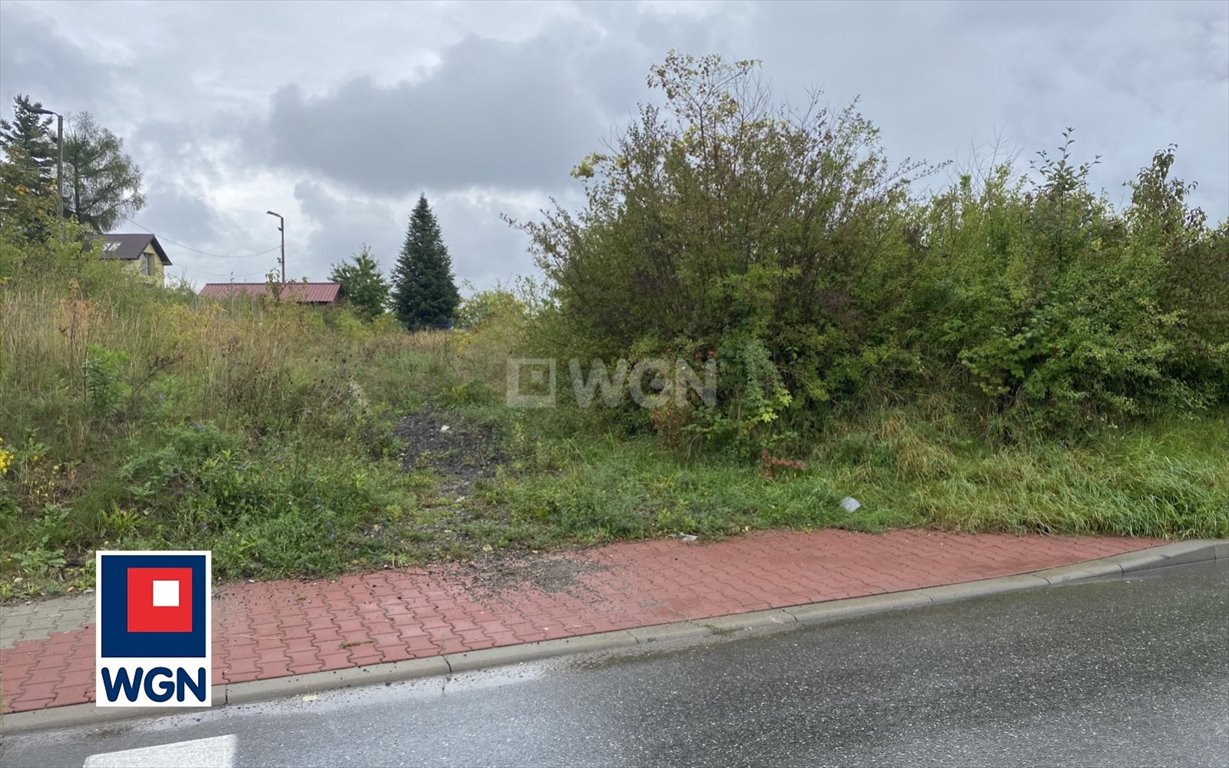 Działka inwestycyjna na sprzedaż Trzebinia, okolice Górki  12 940m2 Foto 7