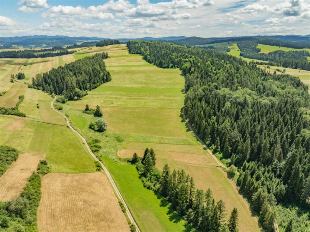 Działka 2389 m² w Niedzicy – idealna pod inwestycję lub rekreację Niedzica, Kąciki  2 389m2 Foto 1