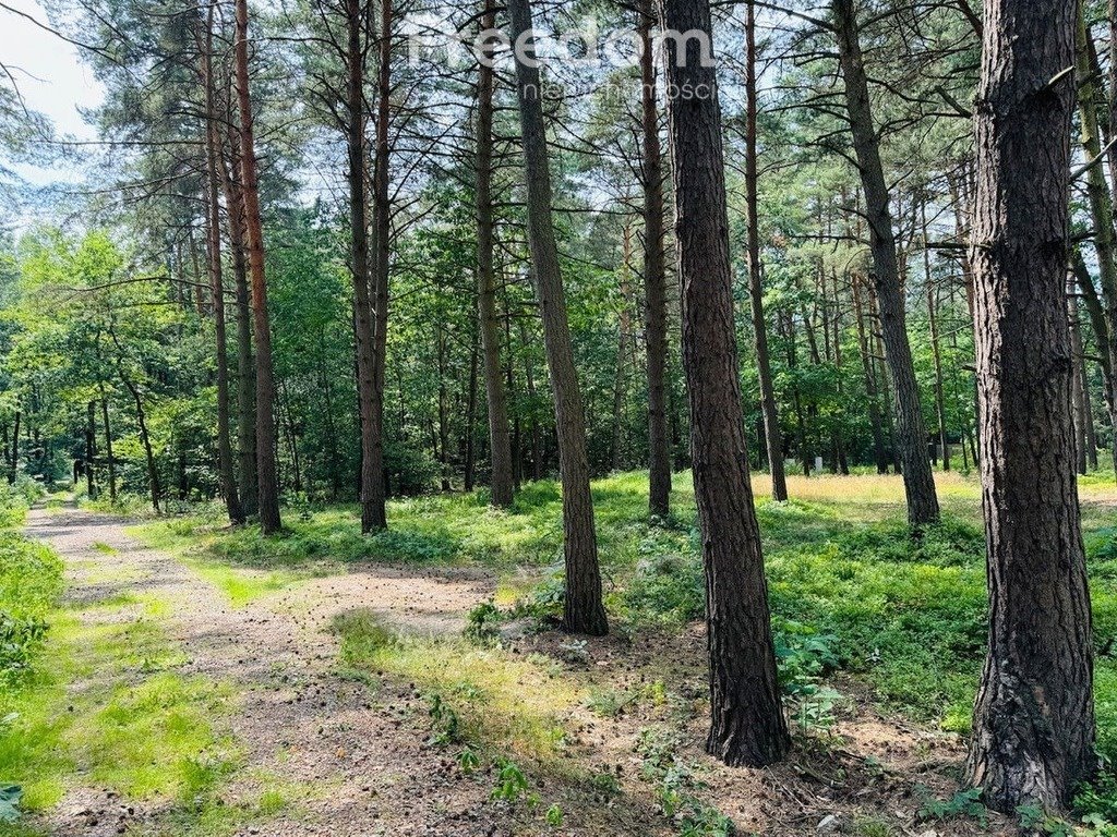 Działka budowlana na sprzedaż Złotokłos, Wierzbowa  4 200m2 Foto 10