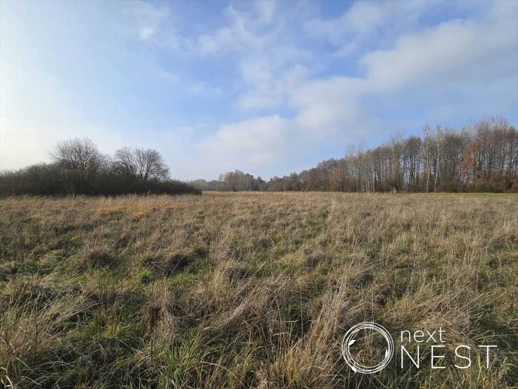 Działka siedliskowa na sprzedaż Wilczkowice Dolne  8 000m2 Foto 3