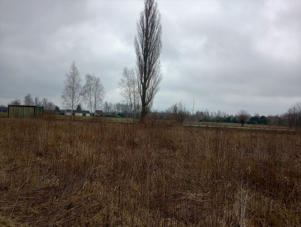 Działka budowlana na sprzedaż Stanisławów  2 920m2 Foto 16