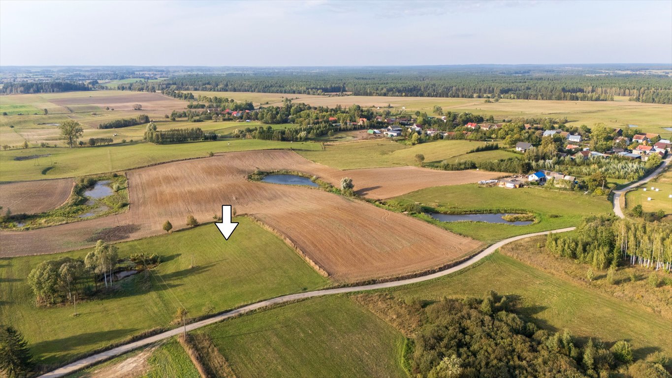 Działka rolna na sprzedaż Olszewki  13 200m2 Foto 1