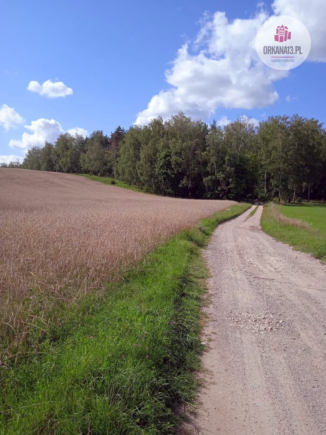 Działka rolna na sprzedaż Biesówko, Biesówko  4 093m2 Foto 9