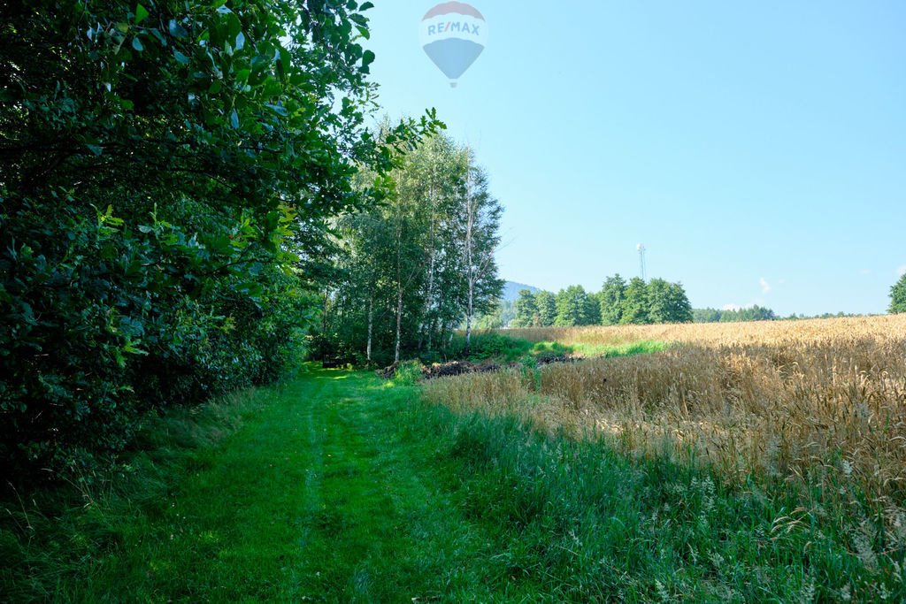 Działka rolna na sprzedaż Czaniec  4 082m2 Foto 16