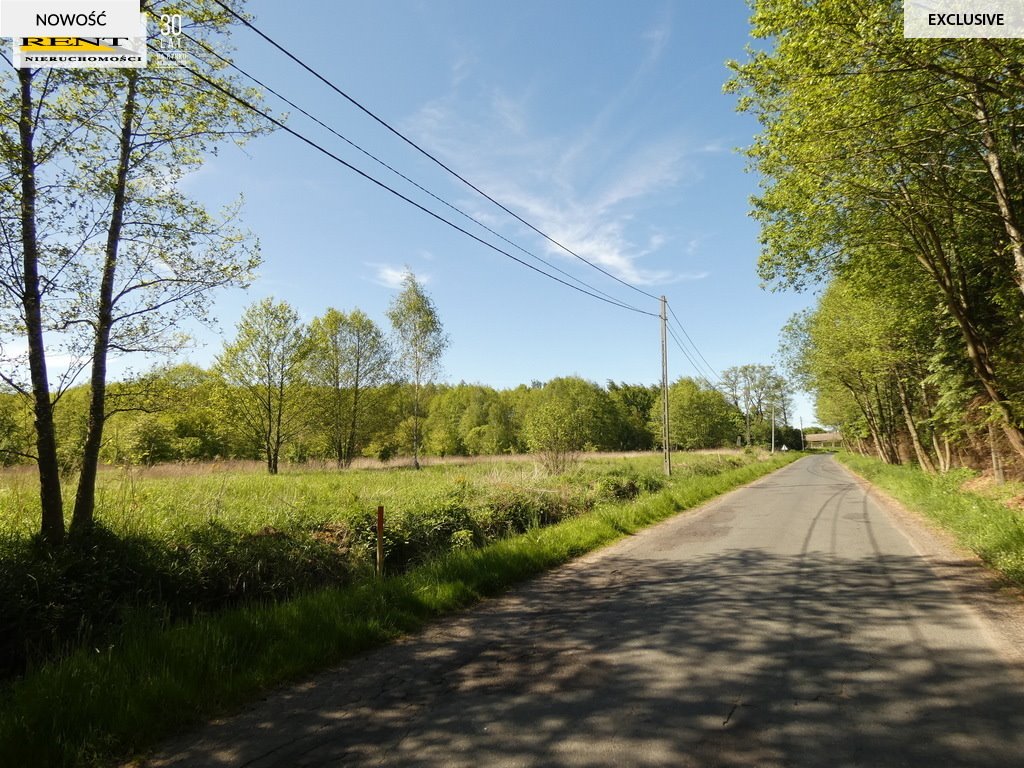 Działka 3004 m² z dostępem do rzeki i jezior w Łoźnicy Łoźnica  3 004m2 Foto 1