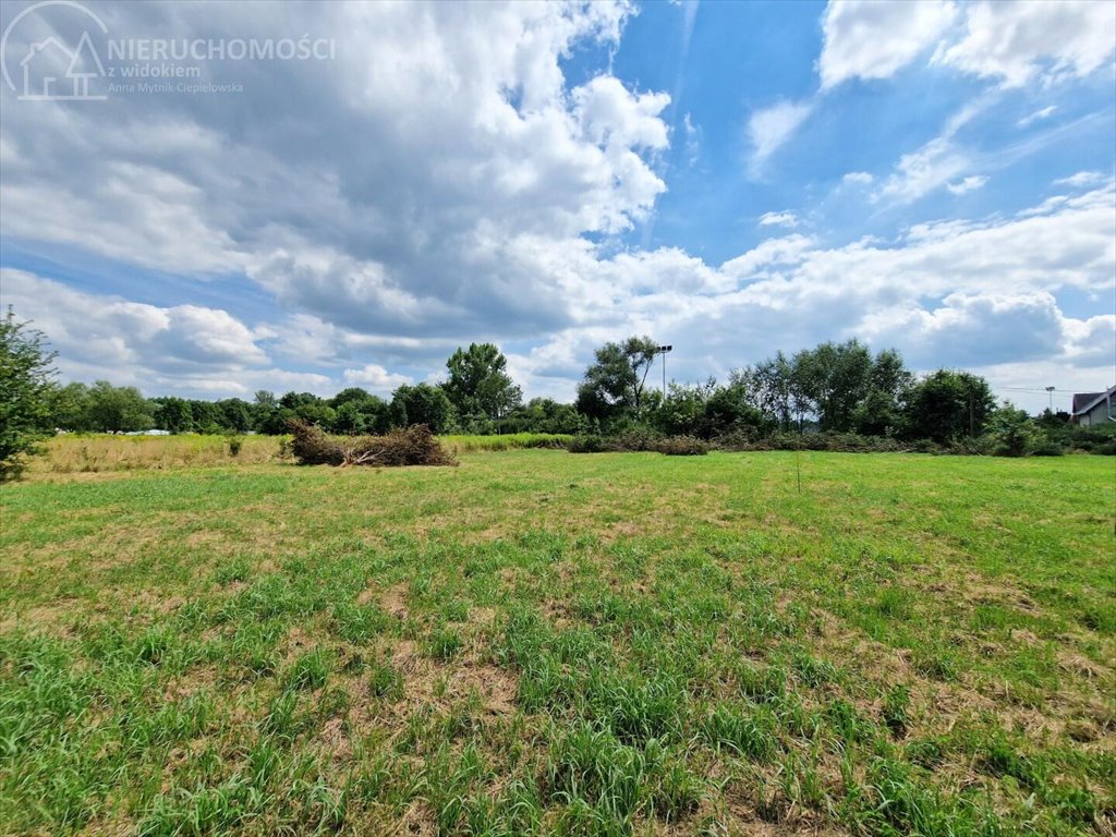 Działka budowlana na sprzedaż Krzeczów  1 100m2 Foto 3