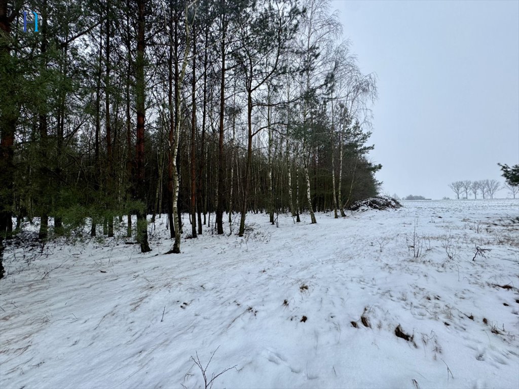 Działka leśna na sprzedaż Iwonie  27 100m2 Foto 2