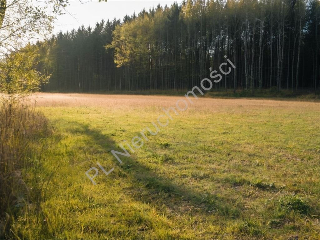 Leśna działka z MPZP pod zabudowę, 1220 m2, cisza Strzeniówka  1 220m2 Foto 1