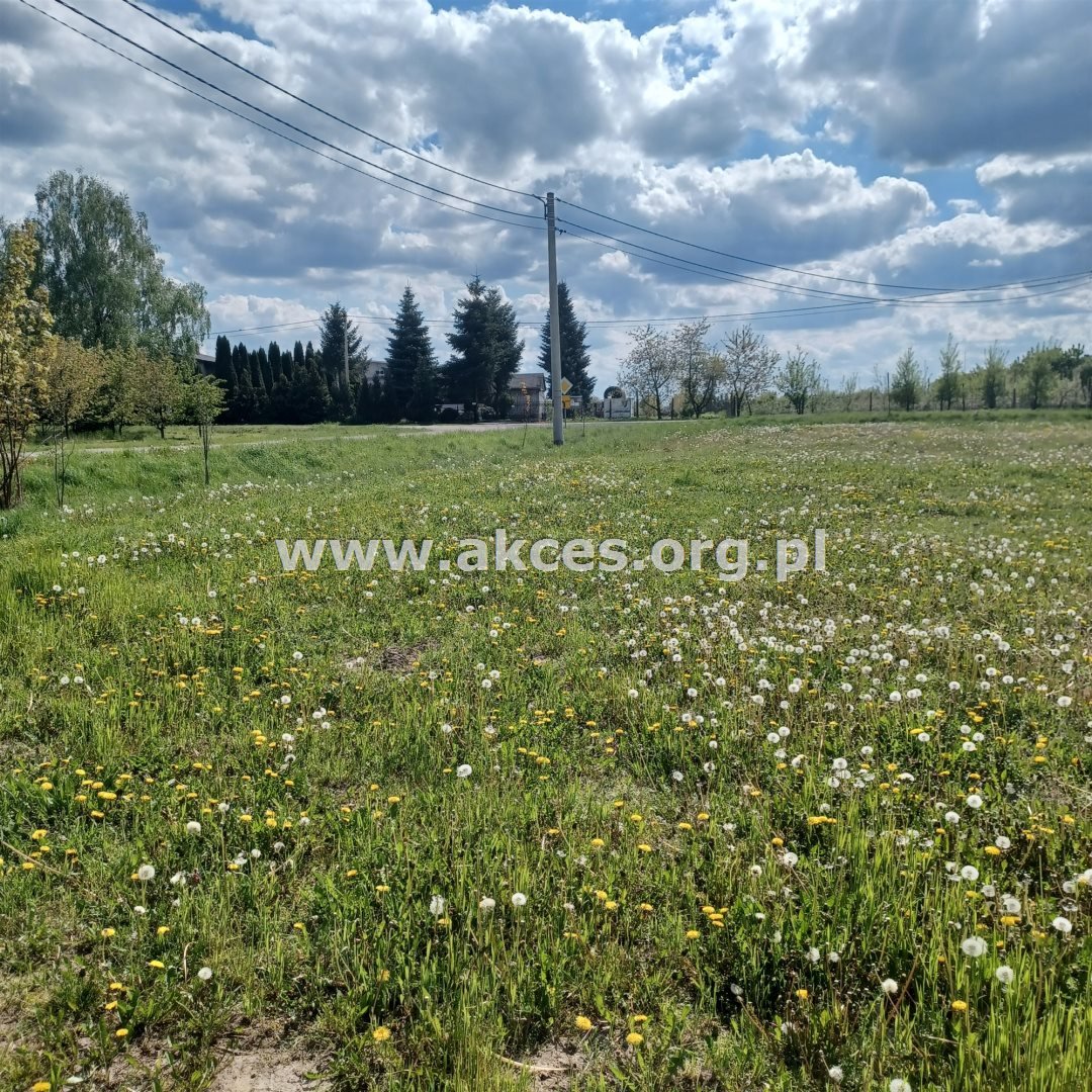 Działka inna na sprzedaż Warpęsy  16 600m2 Foto 7