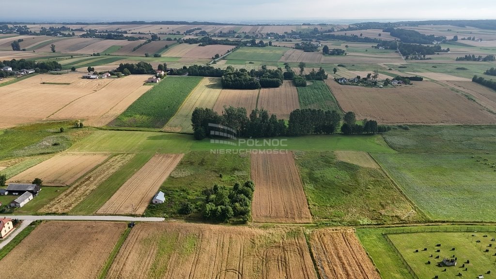 Działka siedliskowa na sprzedaż Boża Wola  9 100m2 Foto 4