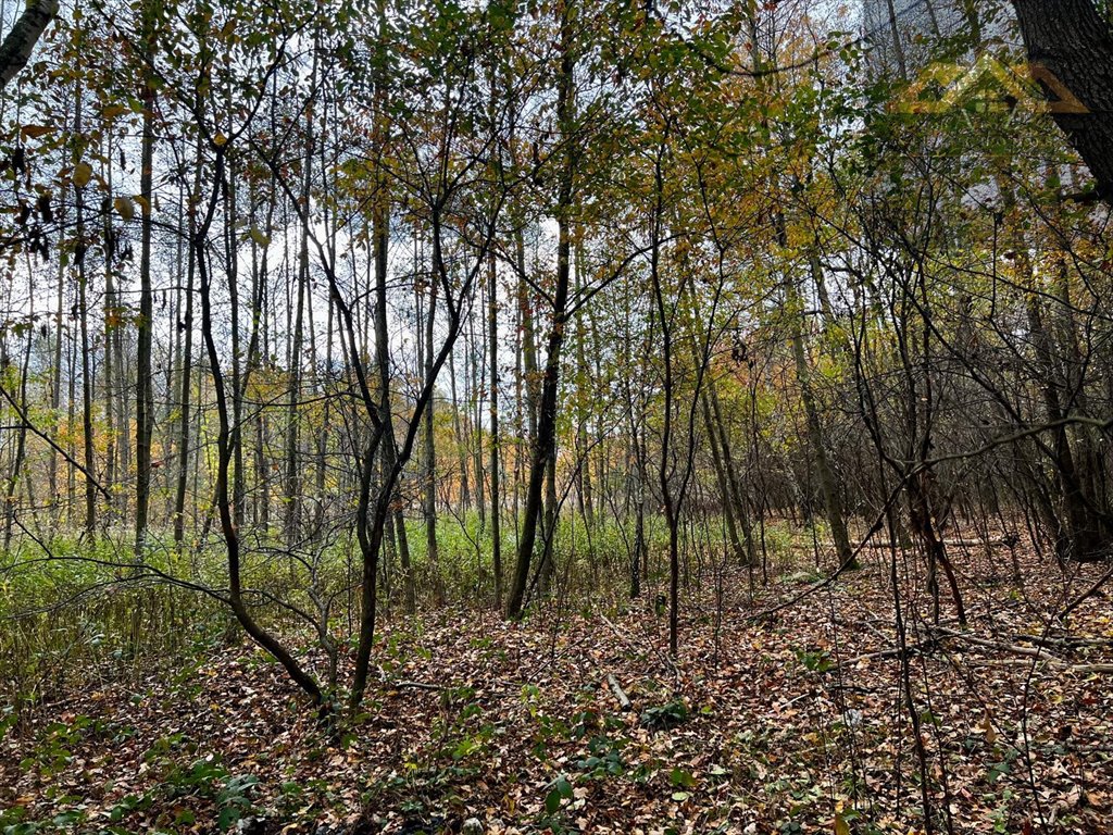 Działka budowlana na sprzedaż Biadoliny Radłowskie  6 800m2 Foto 5