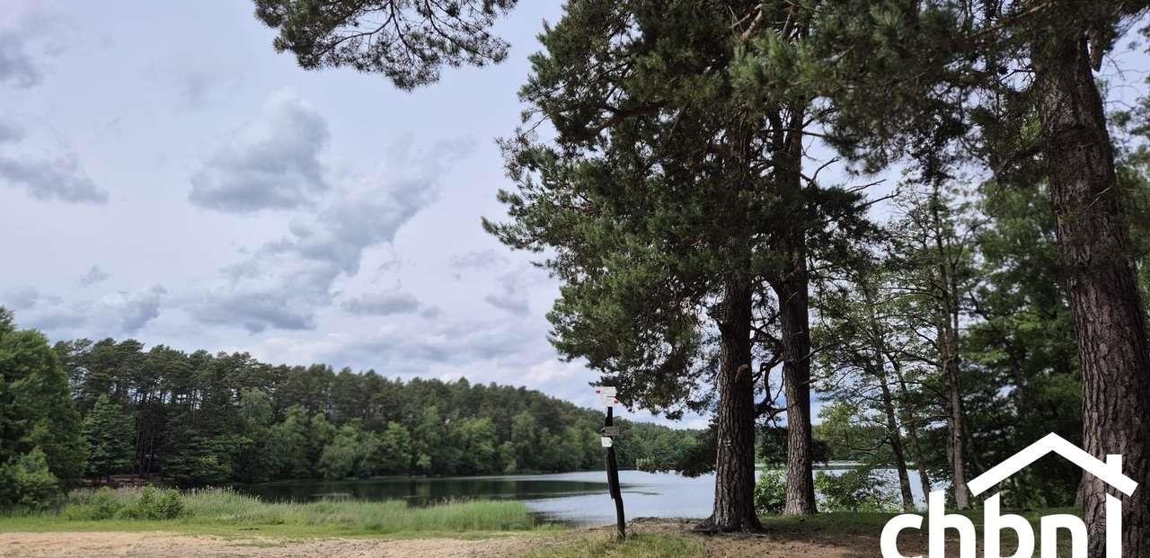 Działka 22 000 m² przy jeziorze - inwestycja i widoki Chojniczki  22 000m2 Foto 1