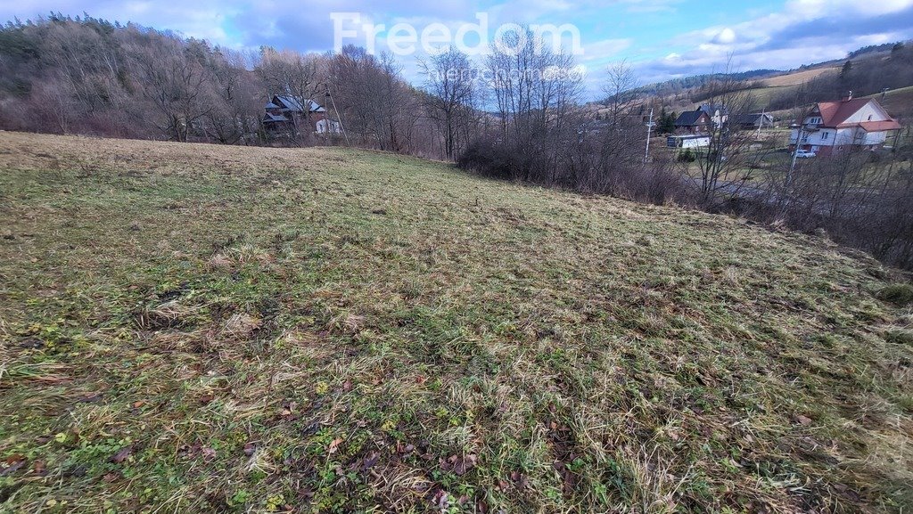 Działka budowlana na sprzedaż Górzanka  2 280m2 Foto 14