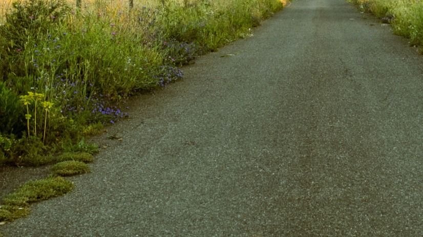 Działka budowlana na sprzedaż Czaplino  1 700m2 Foto 3