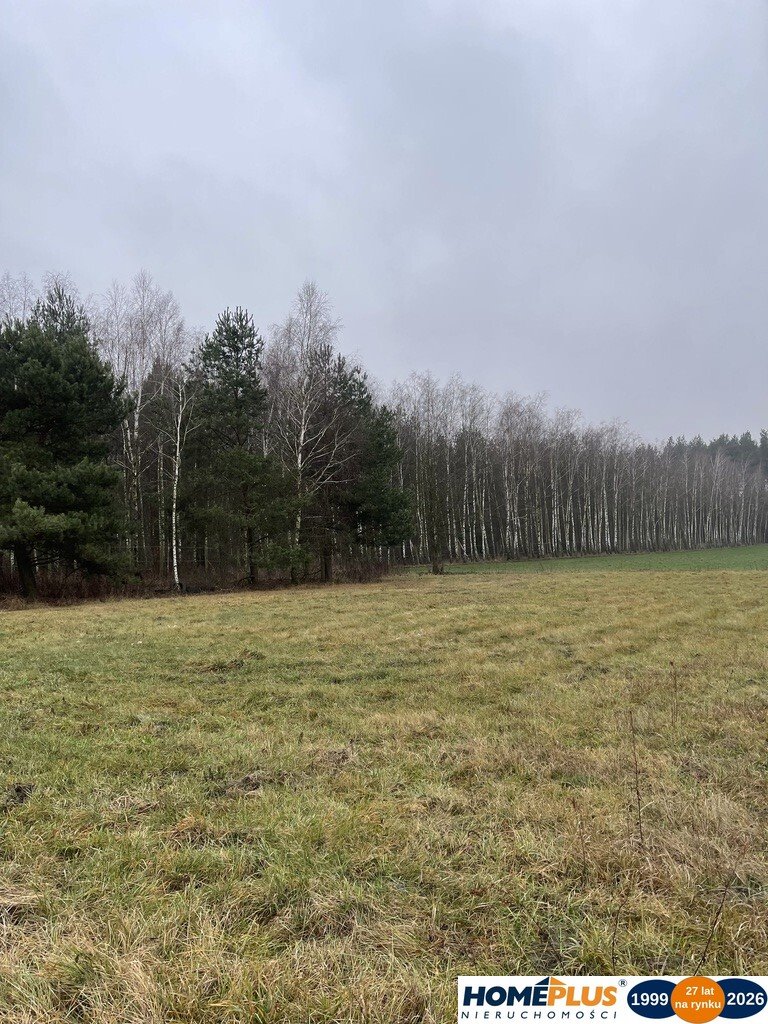 Zdjęcie 8