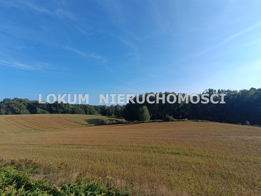 Działka budowlana na sprzedaż Jastrzębie-Zdrój, Bzie Dolne, Grzybowa  1 038m2 Foto 3