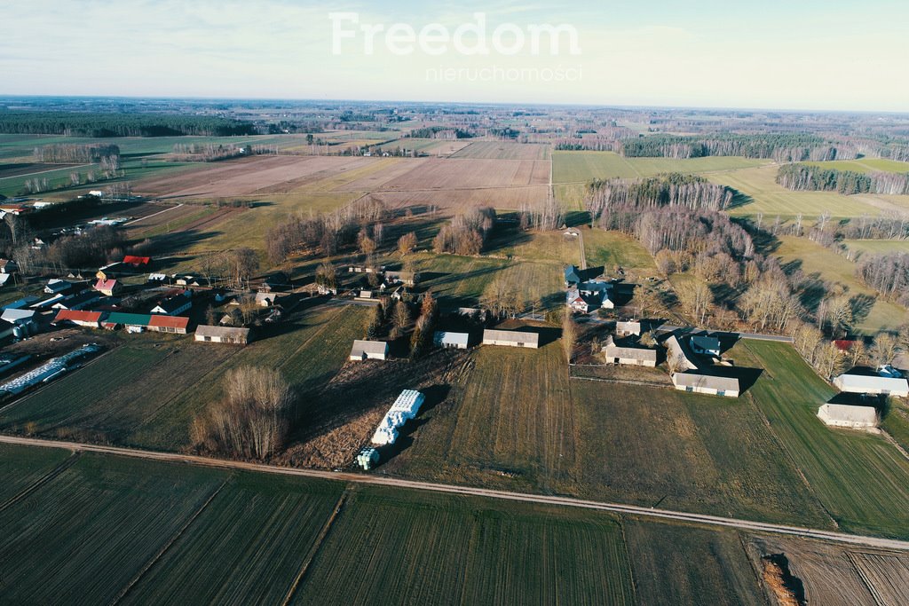 Działka budowlana na sprzedaż Czerwonka  6 300m2 Foto 4