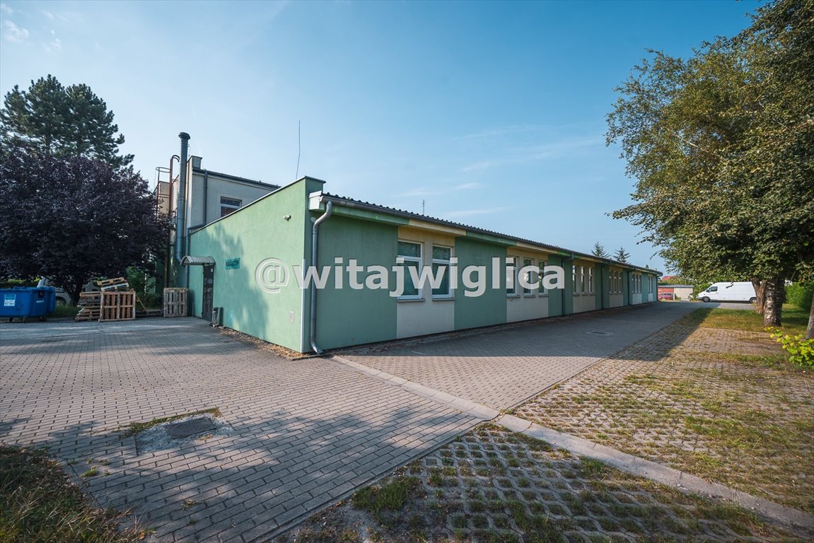 Lokal użytkowy na sprzedaż Wrocław, Psie Pole  1 400m2 Foto 4