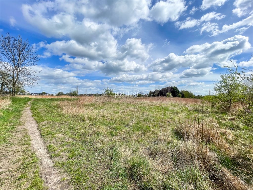 Działka inna na sprzedaż Wrocław, Krzyki, Brochów, Gruzińska  5 143m2 Foto 11