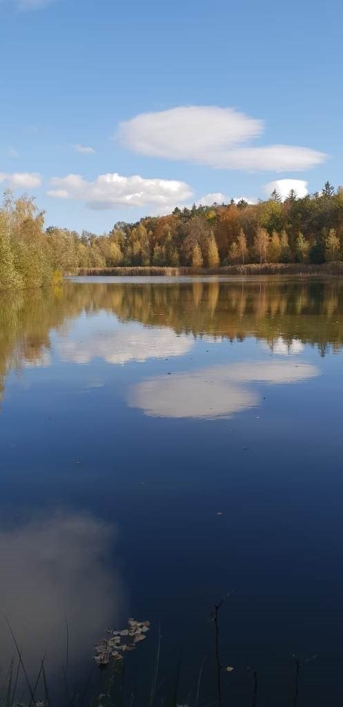 Działka inna na sprzedaż Zawidów, Ostróżno  37 019m2 Foto 18