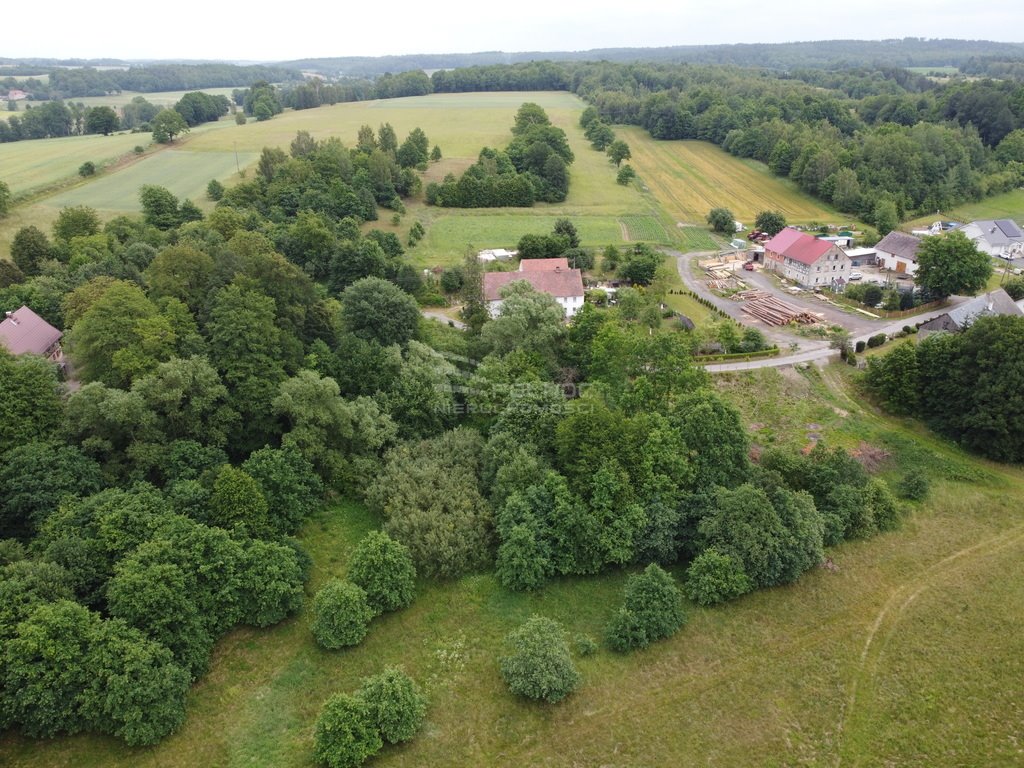 Działka budowlana na sprzedaż Włodzice Wielkie  4 000m2 Foto 3