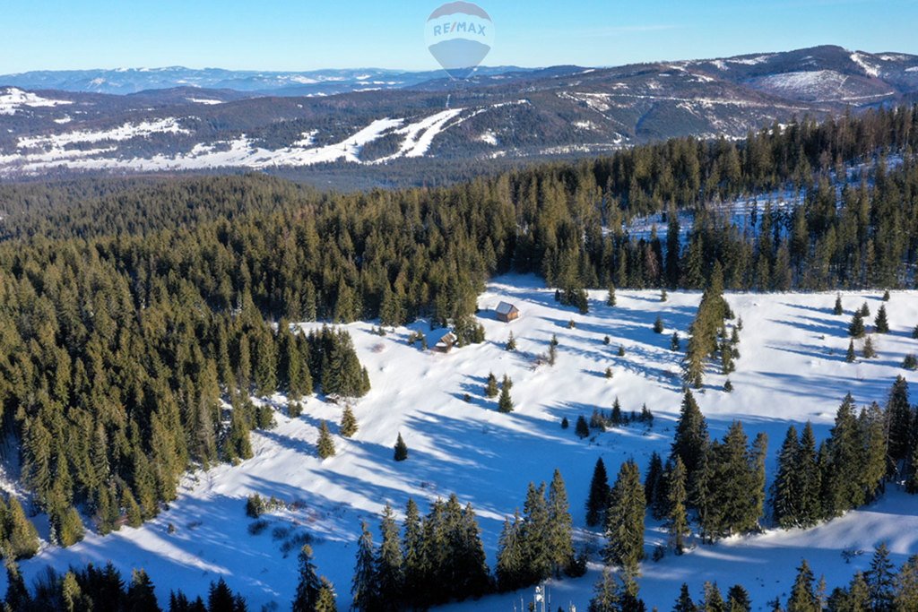 Działka rolna na sprzedaż Bukowina Tatrzańska  4 290m2 Foto 5