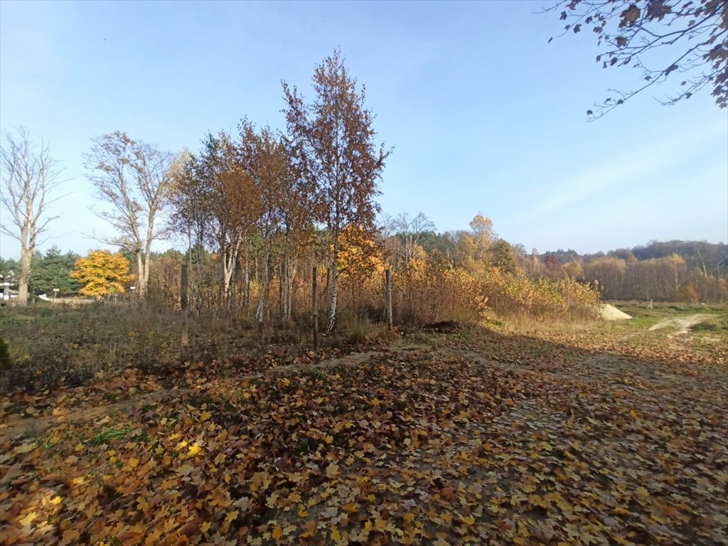 Działka budowlana na sprzedaż Leśniewo, Pucka  1 013m2 Foto 2