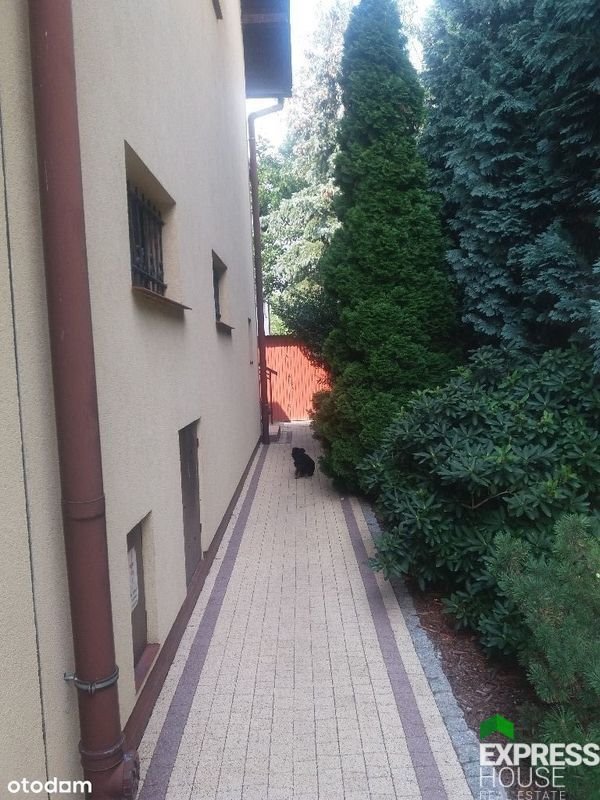 Dom na wynajem Wrocław, Henryka Michała Kamieńskiego  267m2 Foto 5