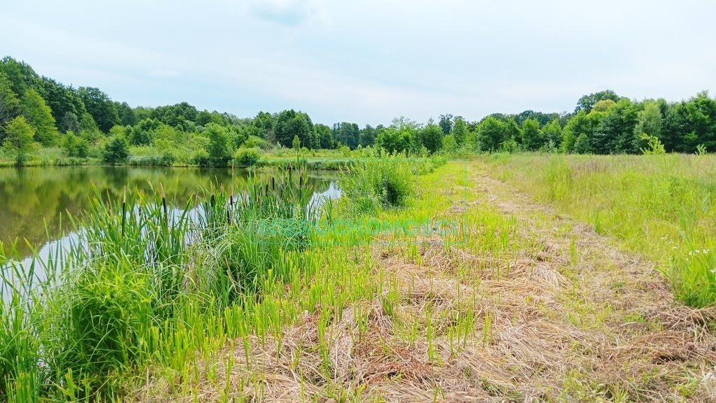 Działka inna na sprzedaż Szczęsne  7 977m2 Foto 16