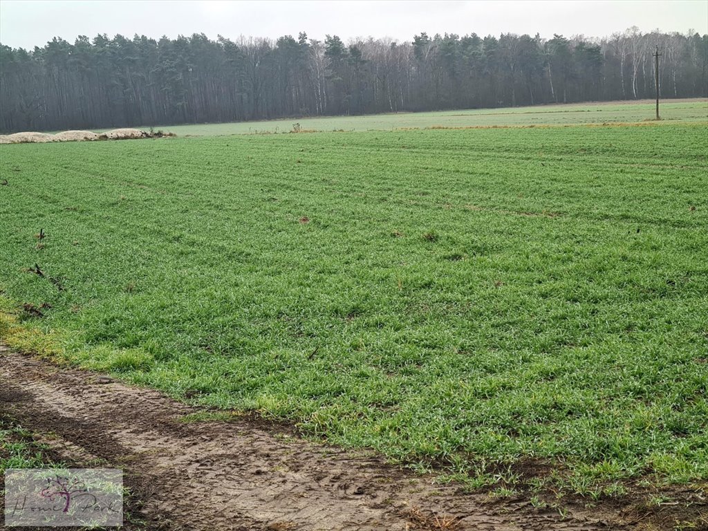 Działka budowlana na sprzedaż Gajówka, Gajówka  4 500m2 Foto 4