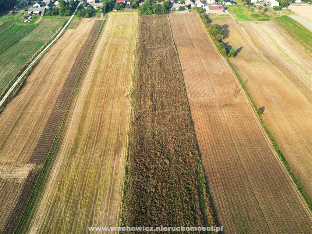 Działka rolna na sprzedaż Chodów  43 998m2 Foto 3