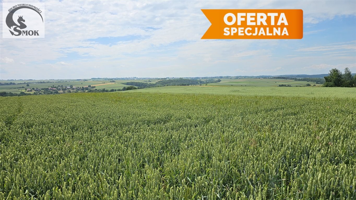 Widokowa działka rolna 1,09 ha z dojazdem polnym Minoga  10 900m2 Foto 1