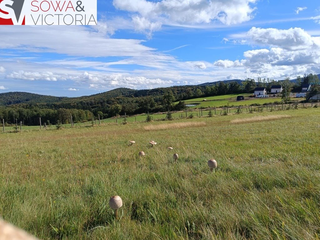 Działka inna na sprzedaż Michałkowa  3 000m2 Foto 6