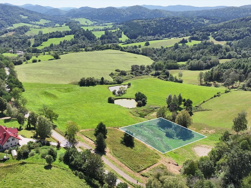 Działka 4,9 ha z widokami, stawem i warunkami zabudowy Kiełczawa  4 500m2 Foto 1
