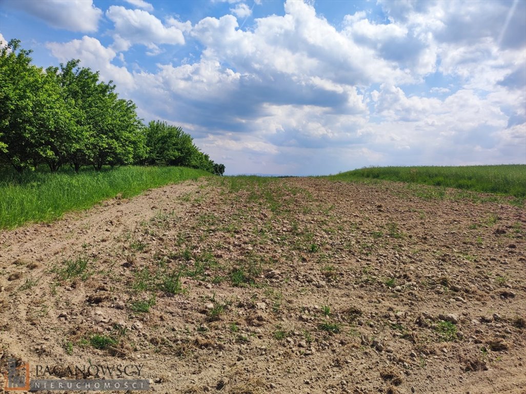 Działka rolna na sprzedaż Korzkiew  6 617m2 Foto 2