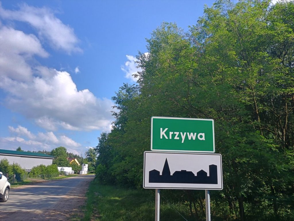 Działka siedliskowa na sprzedaż Krzywa  3 473m2 Foto 1