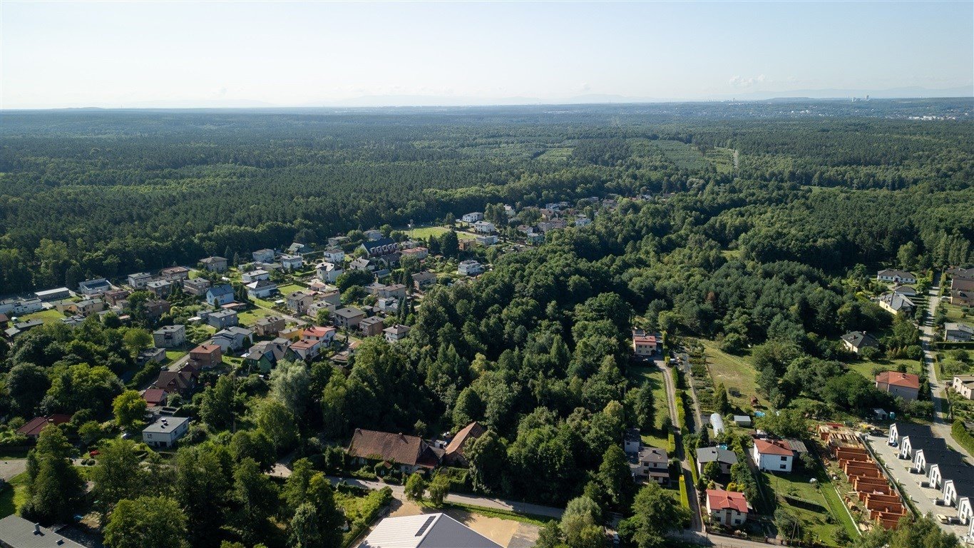 Rozległa działka zielona w Rybniku – 30 510 m² z dostępem do drogi Rybnik, Makowa  30 510m2 Foto 1