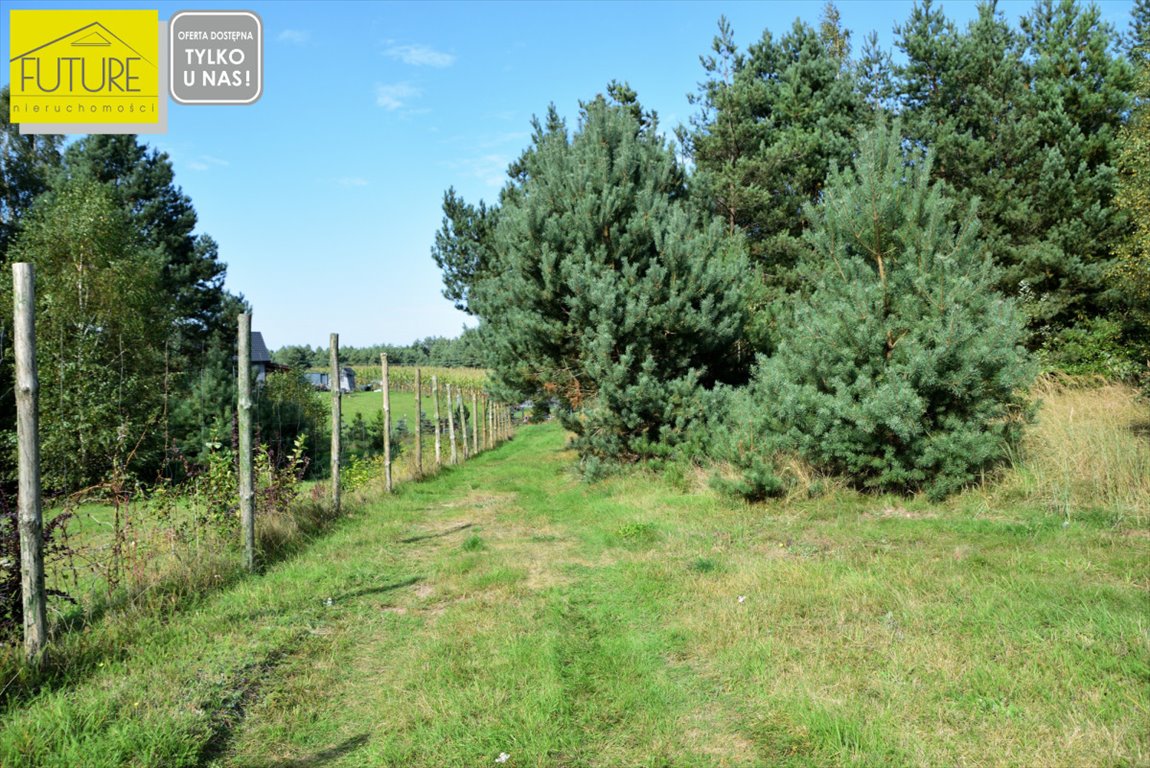 Działka pod letniskową blisko jeziora Kałębie, 987 m2 Wycinki  987m2 Foto 1