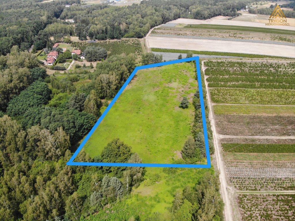 Działka rolna na sprzedaż Gąba  17 400m2 Foto 4