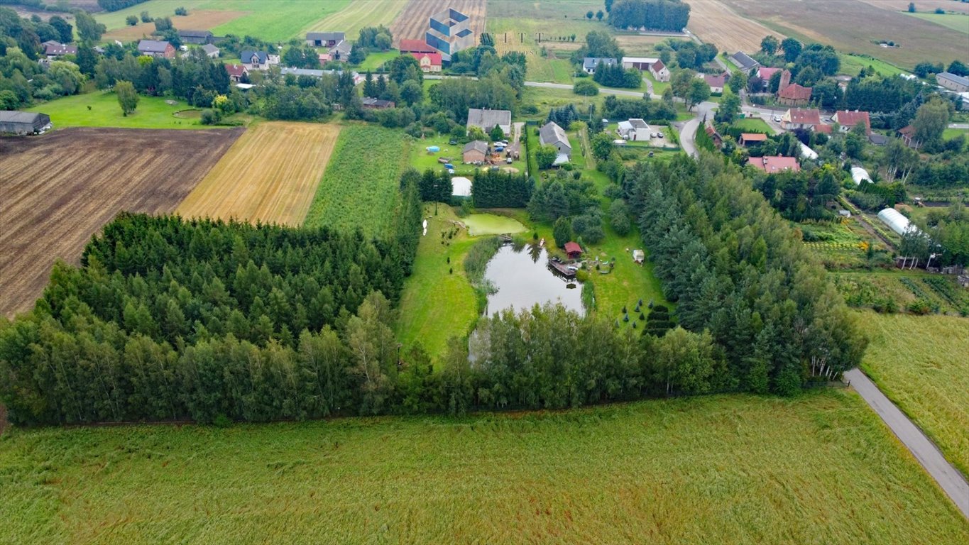 Działka budowlana na sprzedaż Reszki  15 116m2 Foto 9